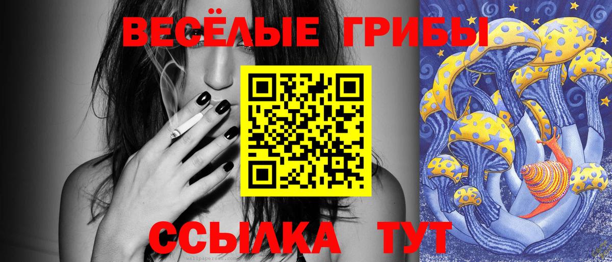 Псилоцибиновые грибы прущие грибы  Псилоцибиновые грибы прущие грибы  цены   Вход с VPN  Усть-Джегута 