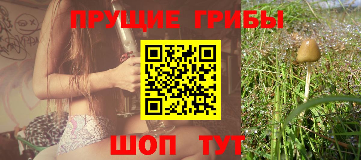 Псилоцибиновые грибы мицелий Усть-Джегута
